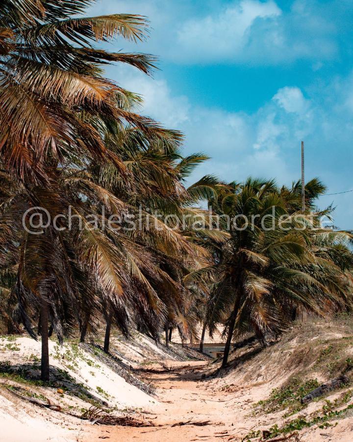 Chales Paraiso De Maracajau 1 Villa Bagian luar foto